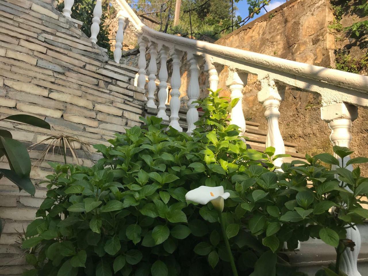 Guest House Himaj 베라트 외부 사진